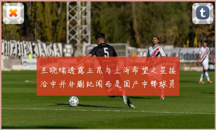 王晓瑞透露玉昆与上海希望之星接洽中并非蒯纪闻而是国产中锋球员