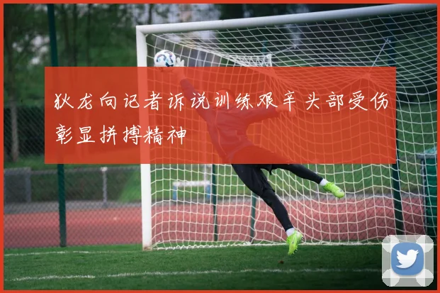 狄龙向记者诉说训练艰辛头部受伤彰显拼搏精神